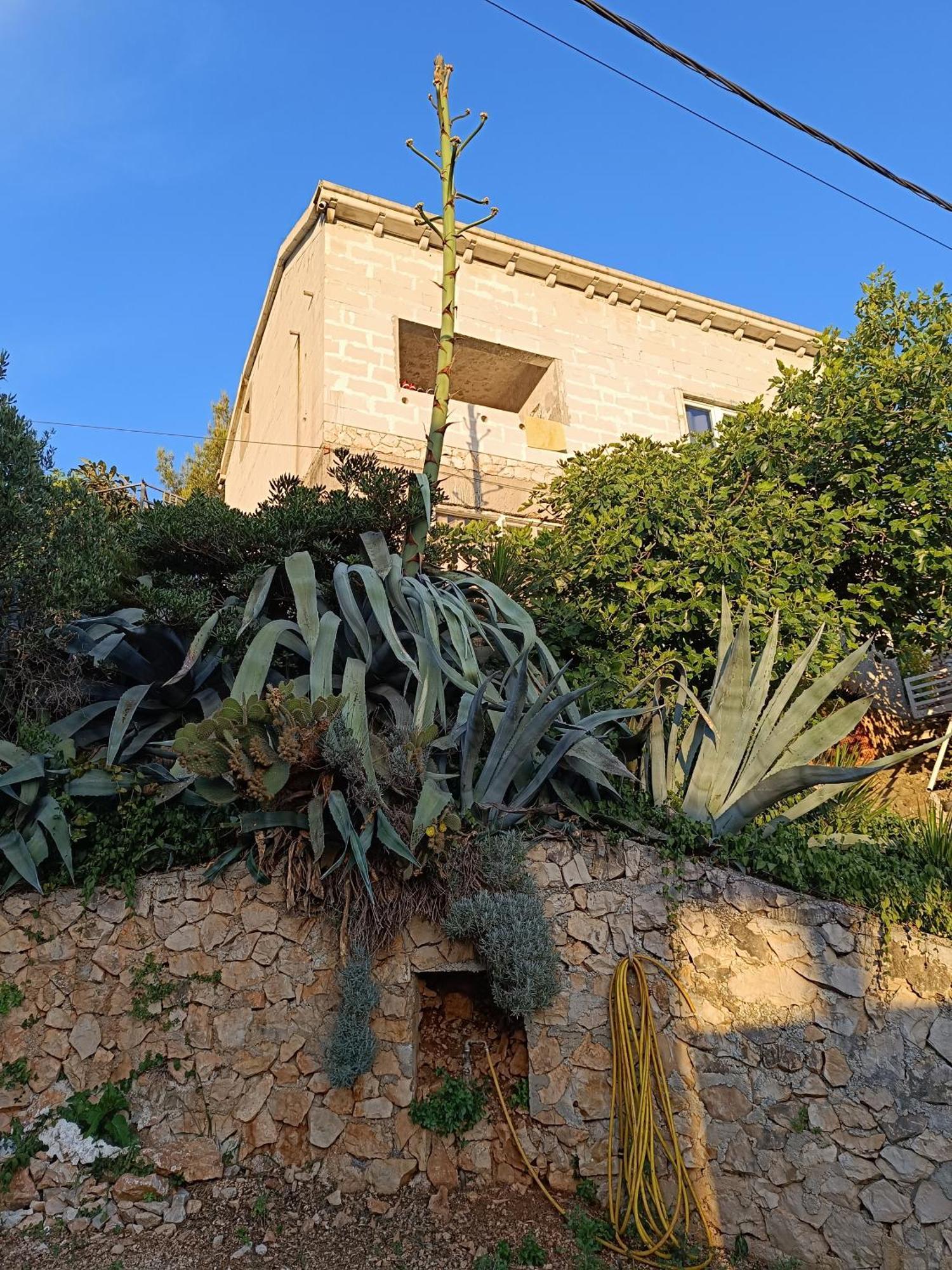 Apartmarin Trogir Exterior foto